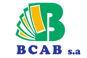www.bcab.bi